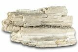 Cretaceous Petrified Wood Covered In Druzy Quartz - Texas #284352-2